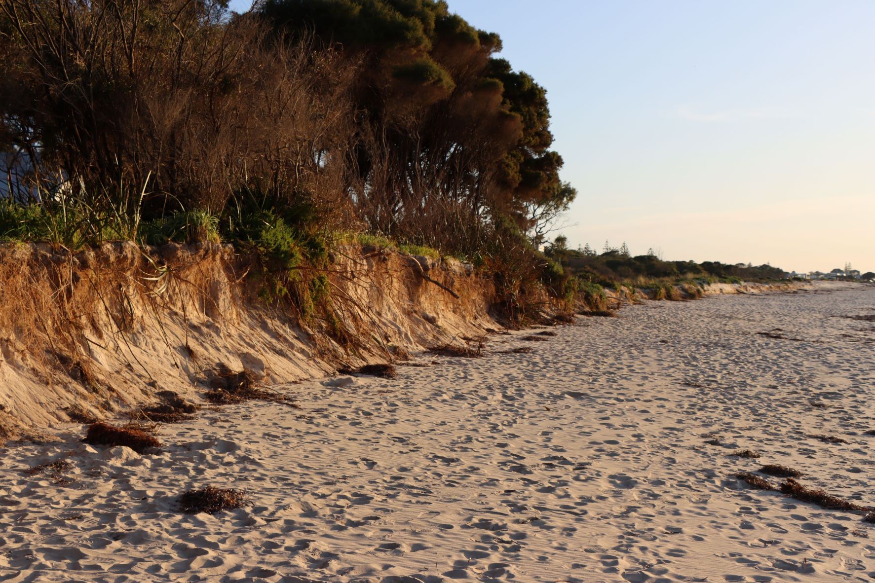 Media Release - $19 MILLION FOR DISASTER MITIGATION PROJECTS IN WESTERN AUSTRALIA Main Image